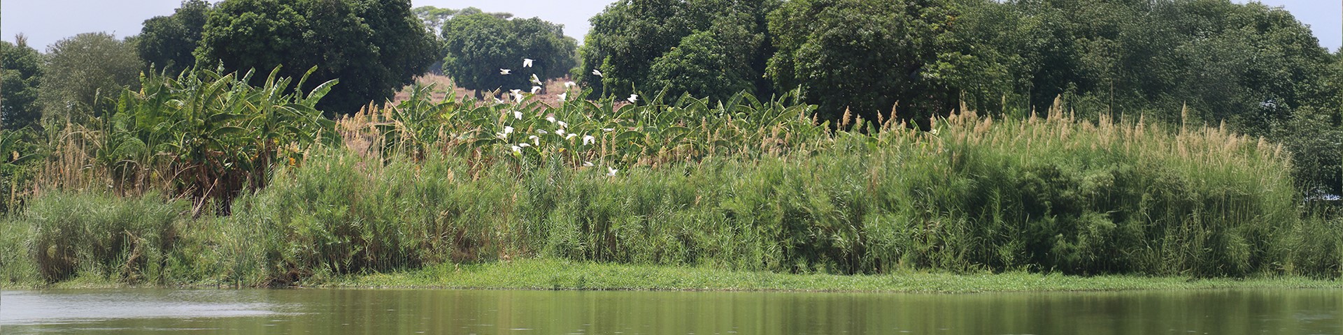 See in der Ostprovinz in Sambia.