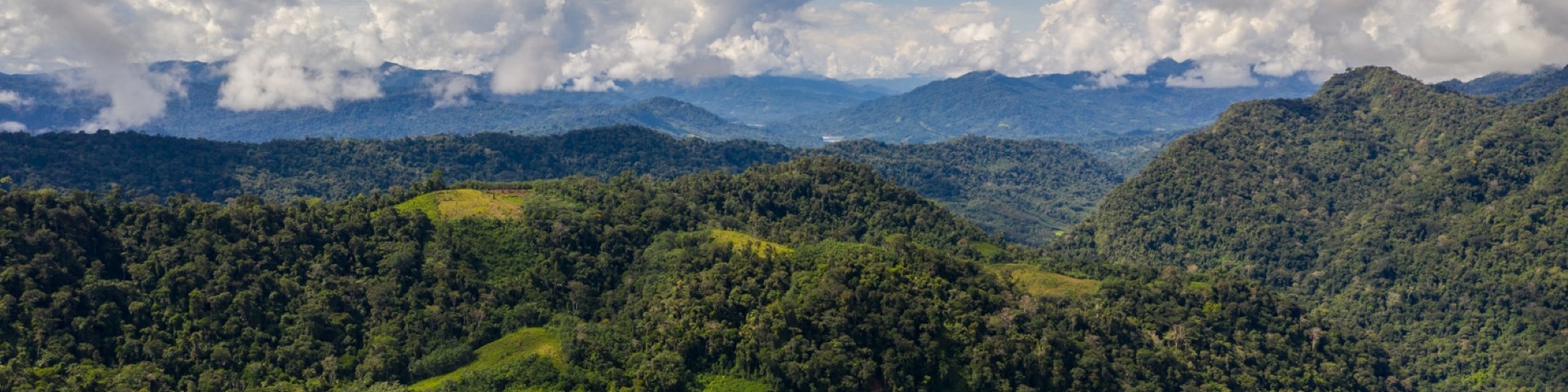 Amazonaswald in Peru.