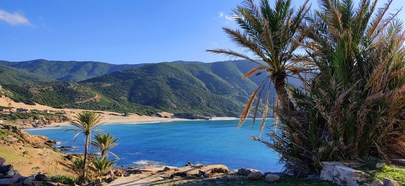 Ein Küstenabschnitt in Algerien vor einer grünen Berglandschaft