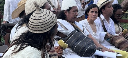 Eine Gruppe von Vertreter*innen indigener Gruppen in traditioneller Kleidung sitzt im Gespräch mit Vertreter*innen der COP16-Präsidentschaft im kolumbianischen Tayrona im Vorfeld der COP16, im Hintergrund Bäume.