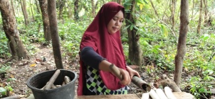  Bäuerin erntet Naturkautschuk im Wald (Indonesien).