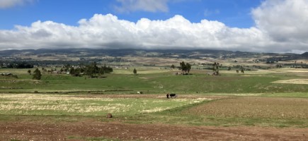  Eine grüne Landschaft mit Feldern.