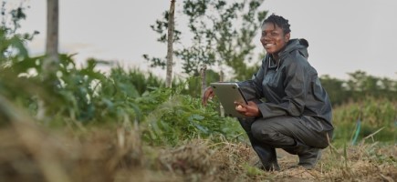  Eine Person hockt mit einem Tablet auf einem Feld.