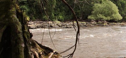 Ein Fluss führt durch den Lomami-Nationalpark in der Provinz Maniema.