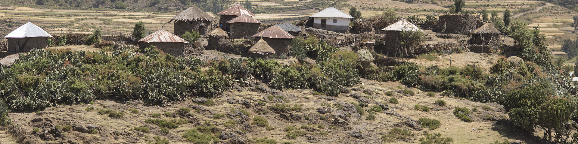 Simple, rural houses in a field