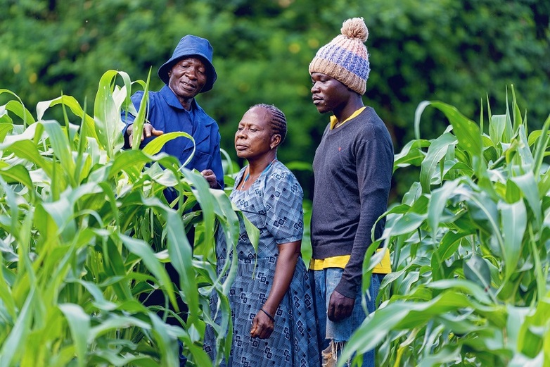 Parents discuss with their son about the future of their farming operation.