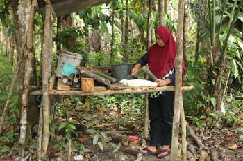 A woman harvesting rubber in Indonesia.