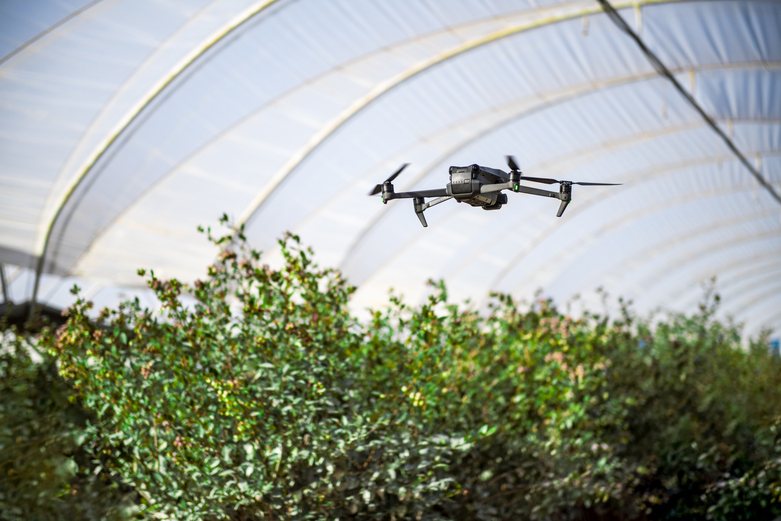 A drone flies over plants in a greenhouse.