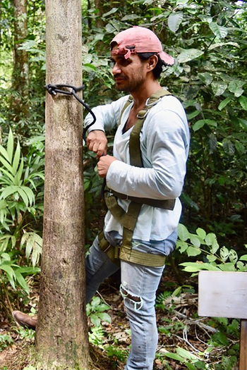 A farmer wearing climbing gear to harvest açaí berries.