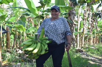 A smallholder holds some bananas that she has harvested.