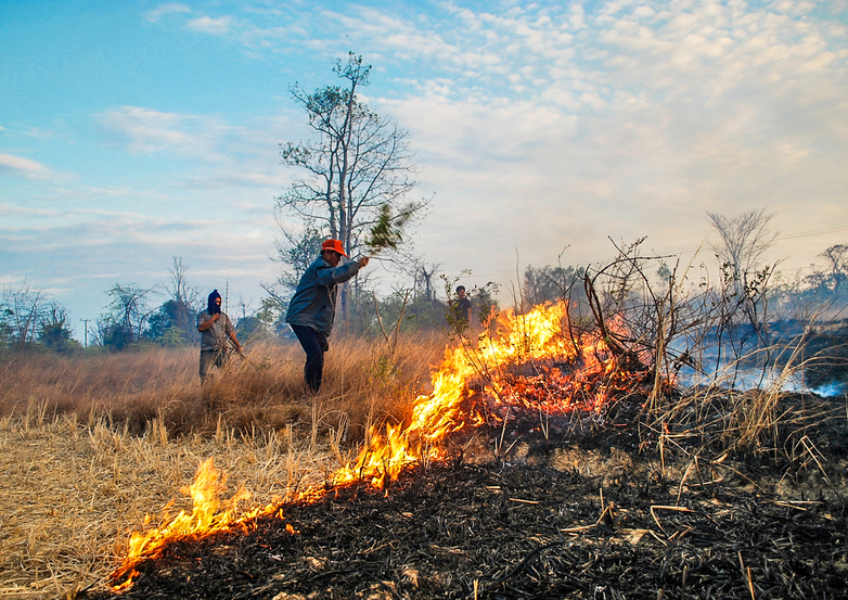 Men watch a field burning.