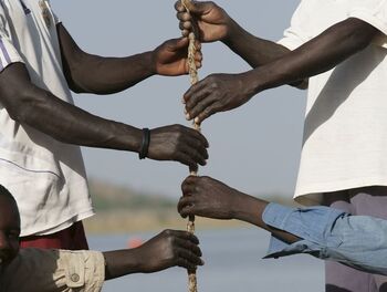 Six hands are jointly holding onto a rope.