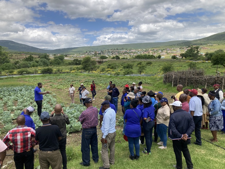 A group of people are standing in a field. A man explains the cultivation.