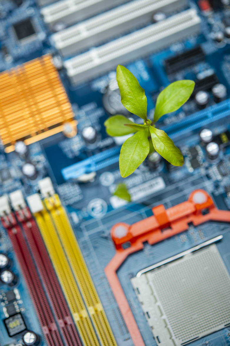 A plant on the motherboard of a computer as seen from above.