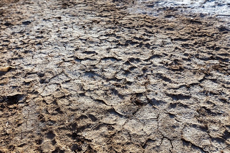 Dry ground in the pilot region of Djelfa.