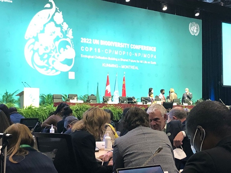 People sit at tables in front of a stage at the Biodiversity Conference.