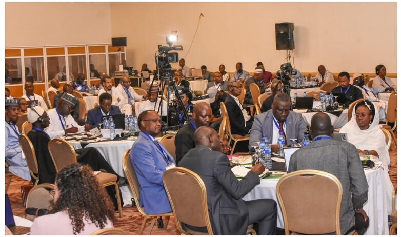 Participants in a regional workshop on highly pathogenic avian influenza sitting at tables in a conference room.