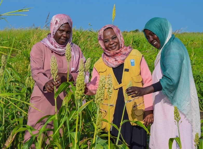 Three women holds cereal plants in a field.