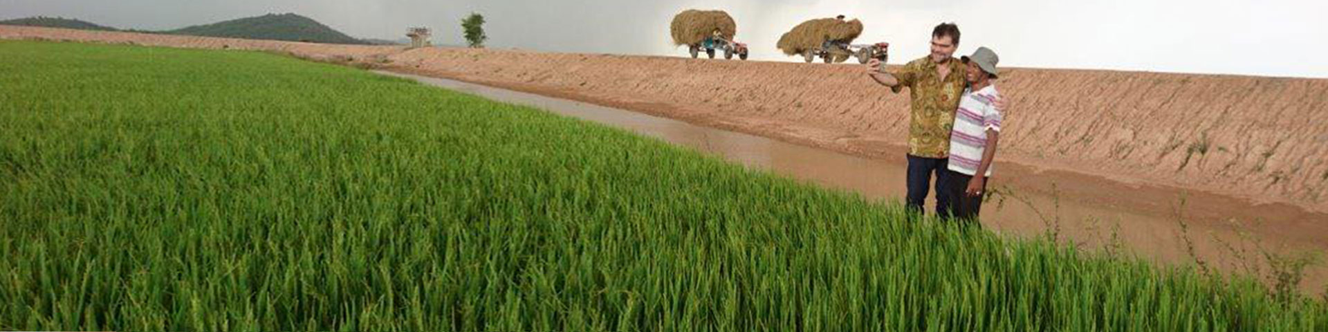 Two agricultural researchers in a field with enhanced climate-adapted rice varieties in Laos.