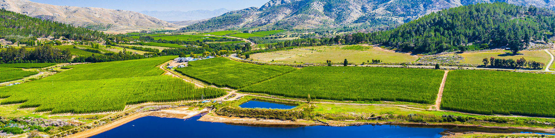 A lake in a green landscape with mountains in the background.