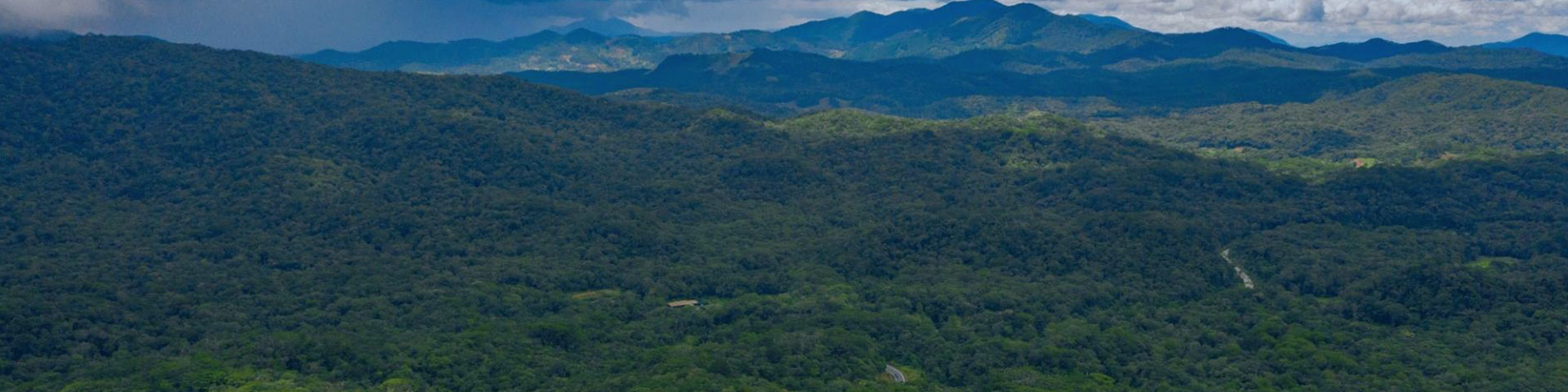 A wooded landscape with mountains in the background.