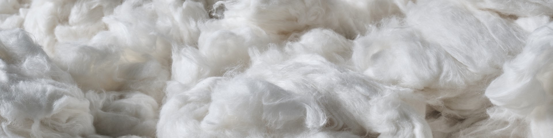 Close-up of raw cotton fibres, showing their fluffy texture and natural white color.