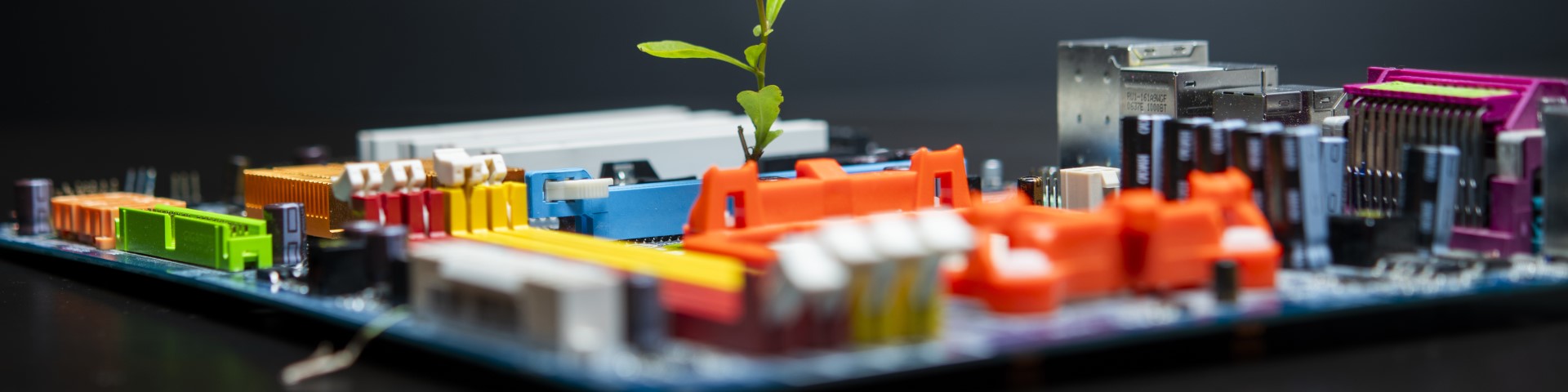 A plant on a motherboard.