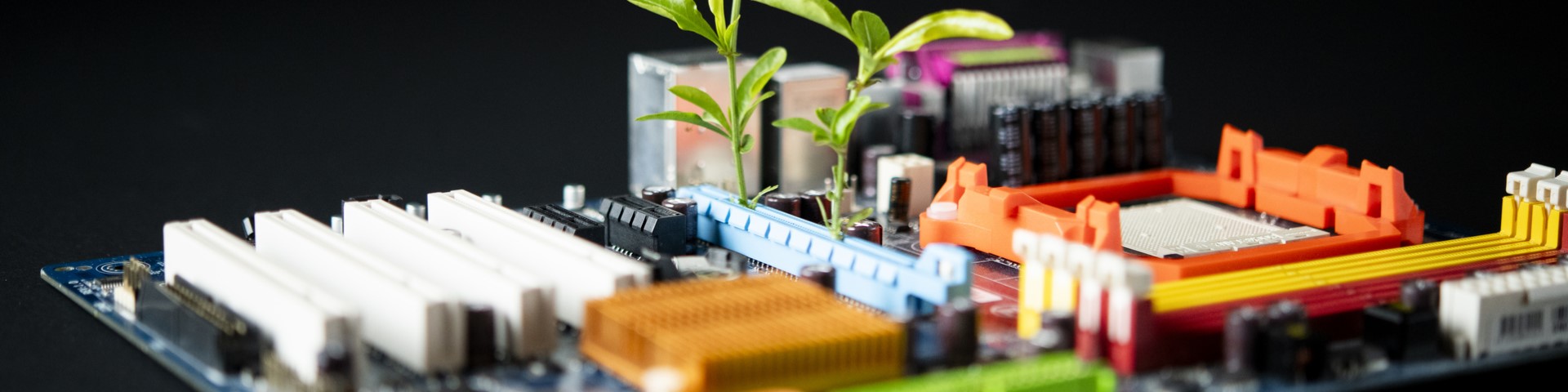 A plant on the motherboard of a computer.