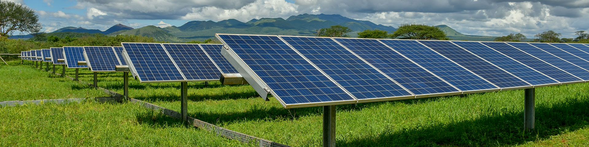 Several rows of solar panels stand on a green meadow.