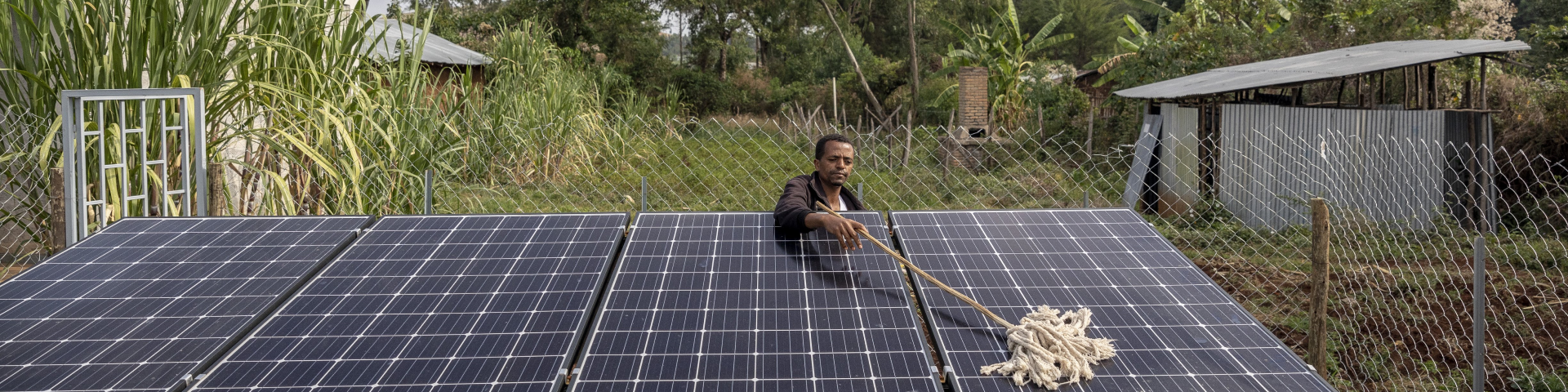 A man uses a mop to clean solar panels in a garden.