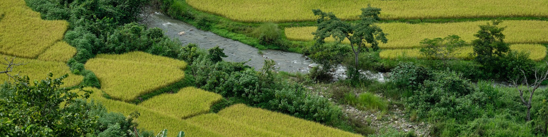 Green fields and trees along a river.