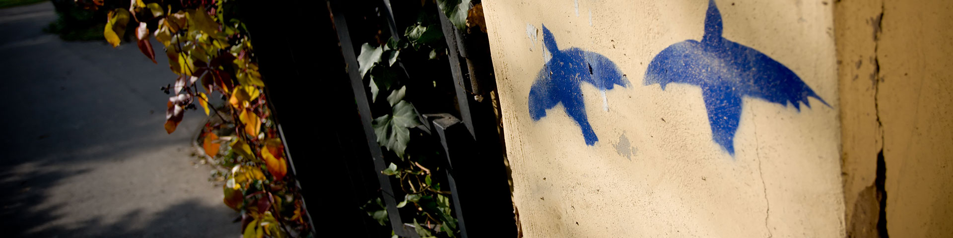 A graffiti of two blue birds on a wall.