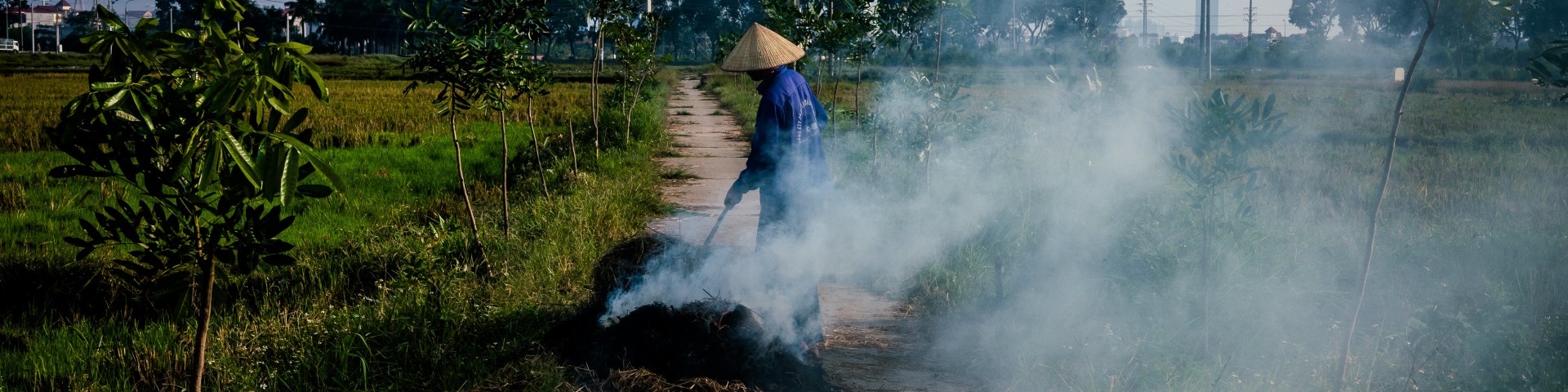 A person burning agricultural waste