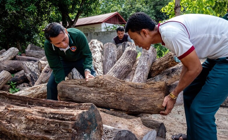 A forest officer conducting an inspection in a lush forest, highlighting efforts to monitor and protect forest ecosystems.