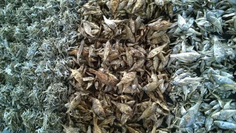 Dried fish in a market display.