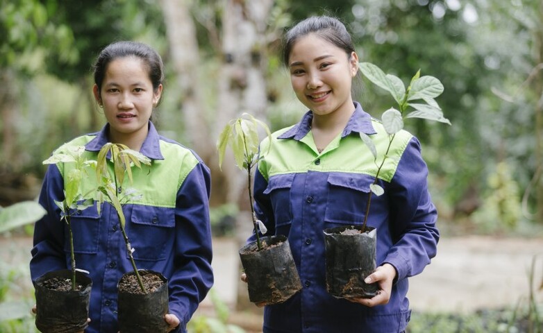 Students enrolled in the DCT Farmer course are gaining practical experience at a DCT partner company.