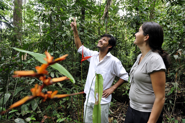 Two experts stand in the Amazon rainforest looking up.