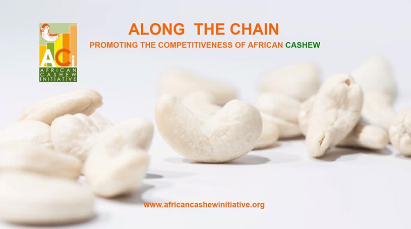 cashew nuts africa