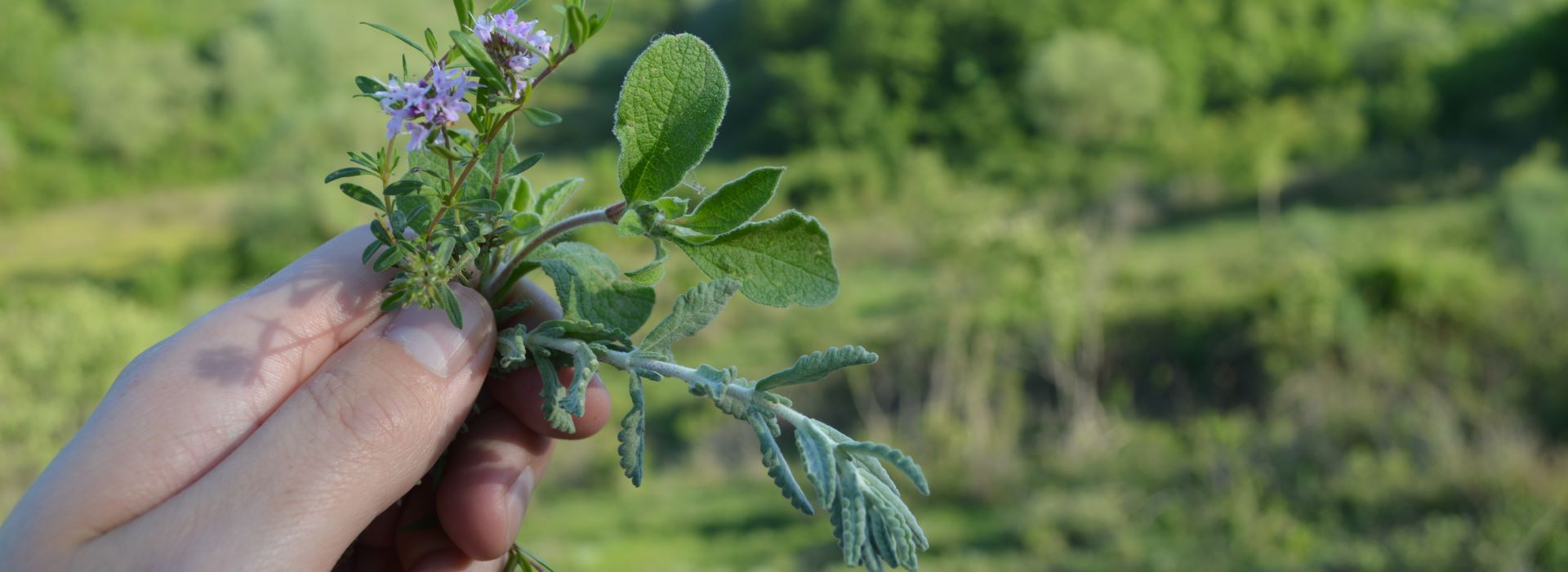 One person is holding a small plant with a green leaf.