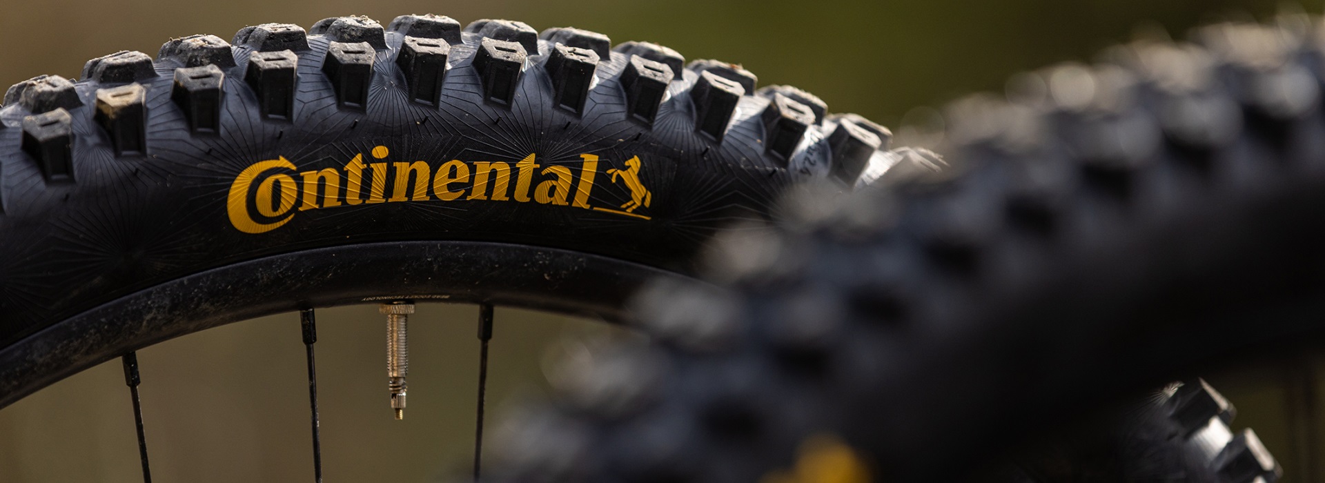 Tyre manufacturer Continental uses the natural rubber from the project in Indonesia for its "Gravity" mountain bike series.