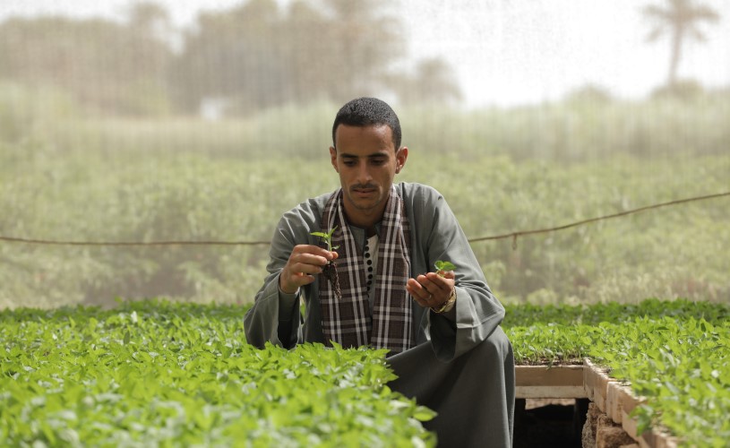 A person holding a small plant.