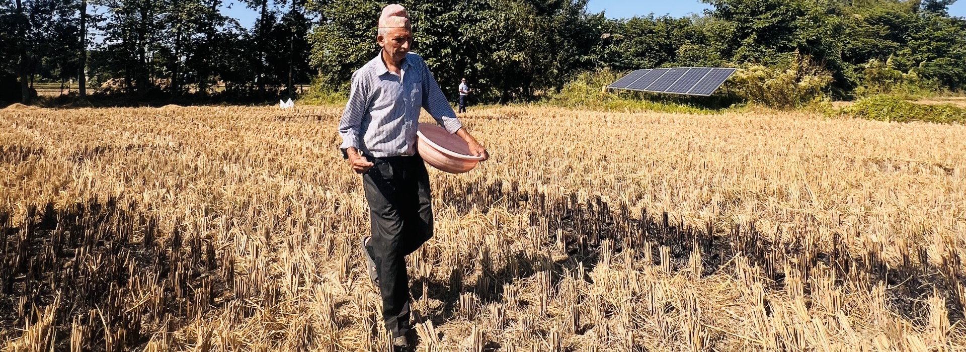 A man with a basket walks across a field. In the background is a solar PV installation.