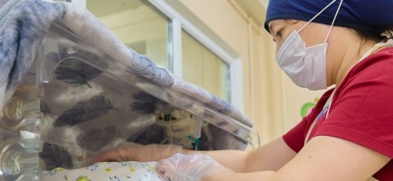 A woman stands beside the hospital bed of a newborn baby.