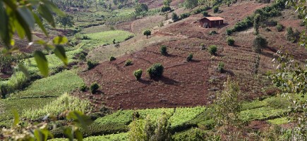 A hut in a hilly, partially green landscape.