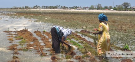 Two women work in a flooded field.