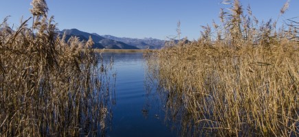 View of a lake.